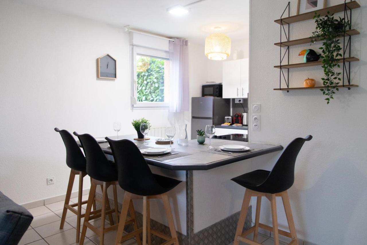 My Cozy Flat Blagnac - T2 - Free Parking - Terrasse - Jardin公寓 外观 照片